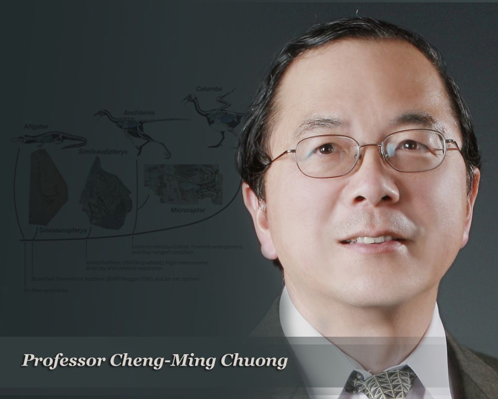Alumnus Cheng-Ming Chuong has been named American Association for the Advancement of Science 2014 - 450_20150211_top