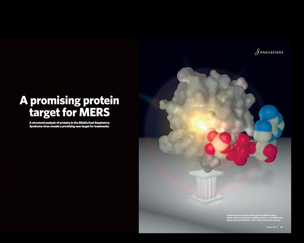 徐駿森教授團隊解析中東呼吸症候群冠狀病毒蛋白質有藥物開發潛力-封面圖