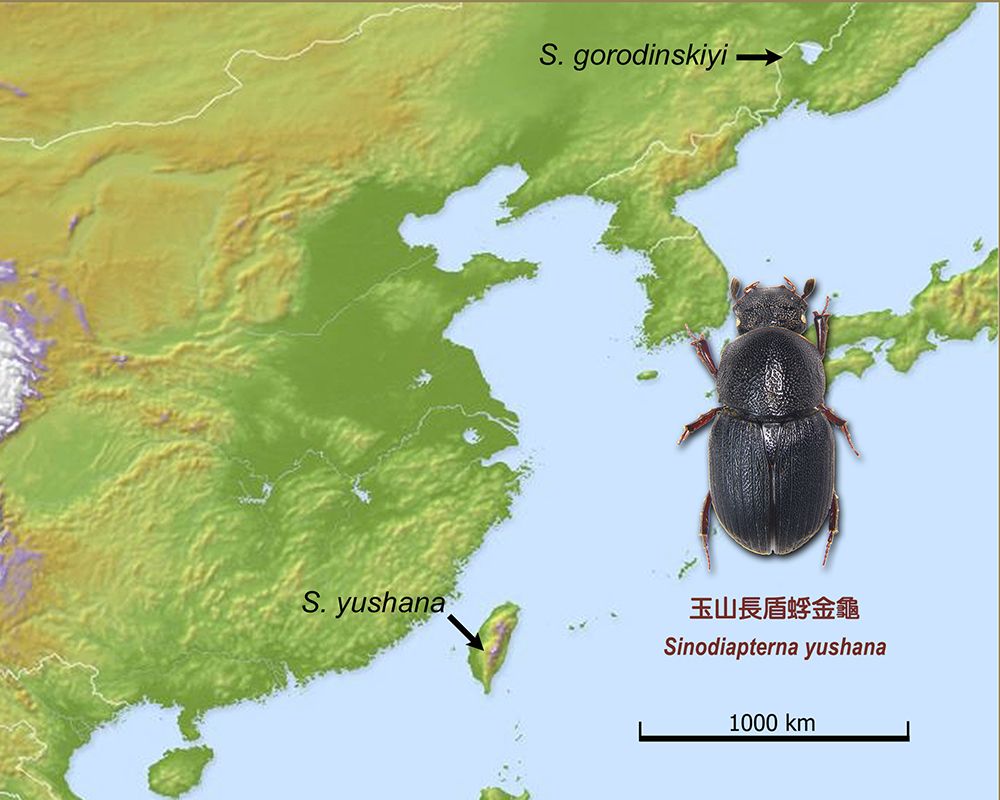 Distribution of the two dung beetle species.