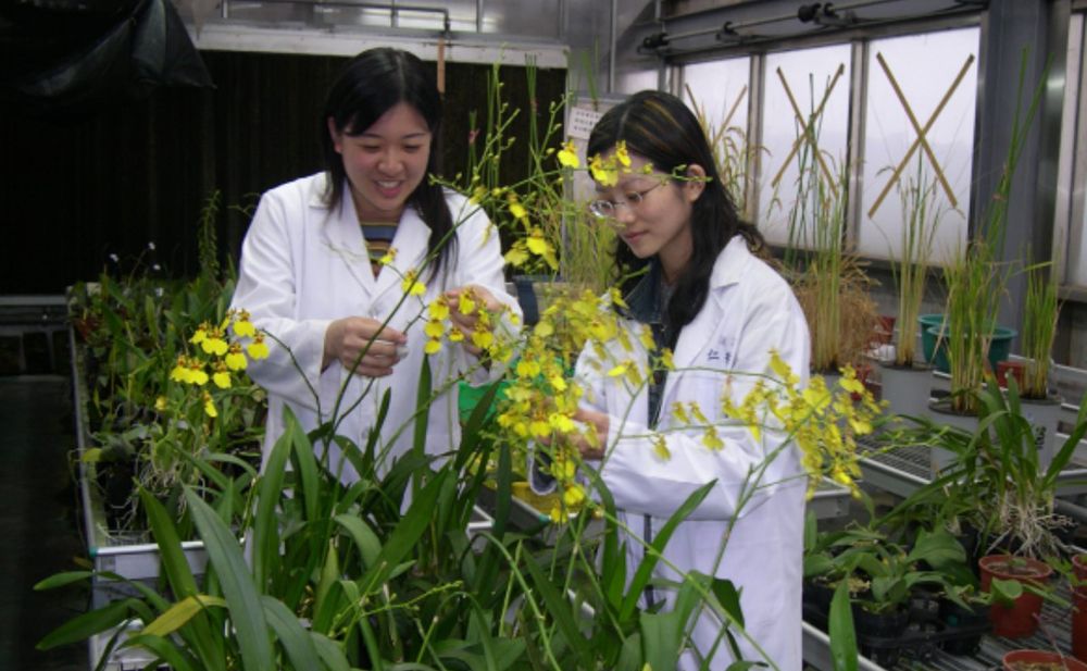 NTU offers comprehensive and cutting-edge courses on plant biotechnology.