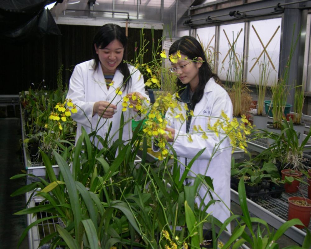 NTU Offers Comprehensive and Cutting-Edge Courses on Plant Biotechnology