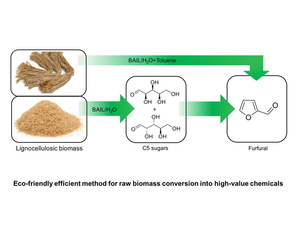 Eco-friendly efficient method for raw biomass conversion into high-value chemicals.