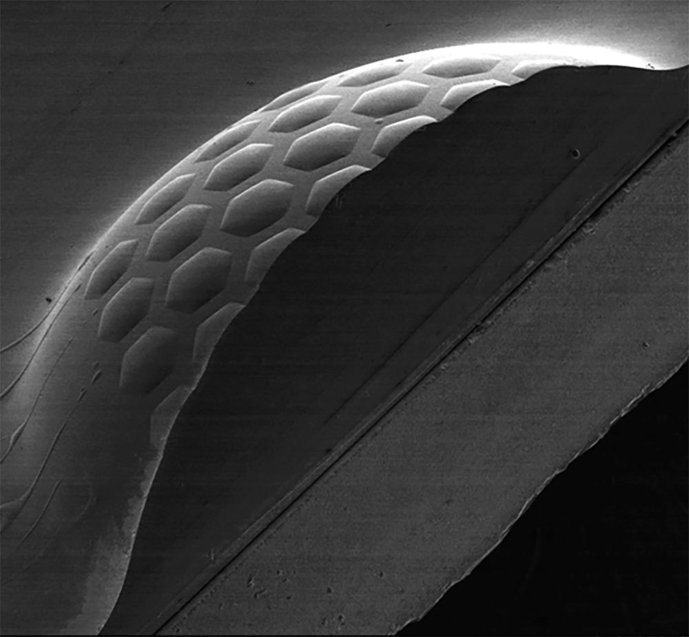 SEM image of the one-lens camera module system using a curved hexagonal microlens array attached to a hemispherical lens.