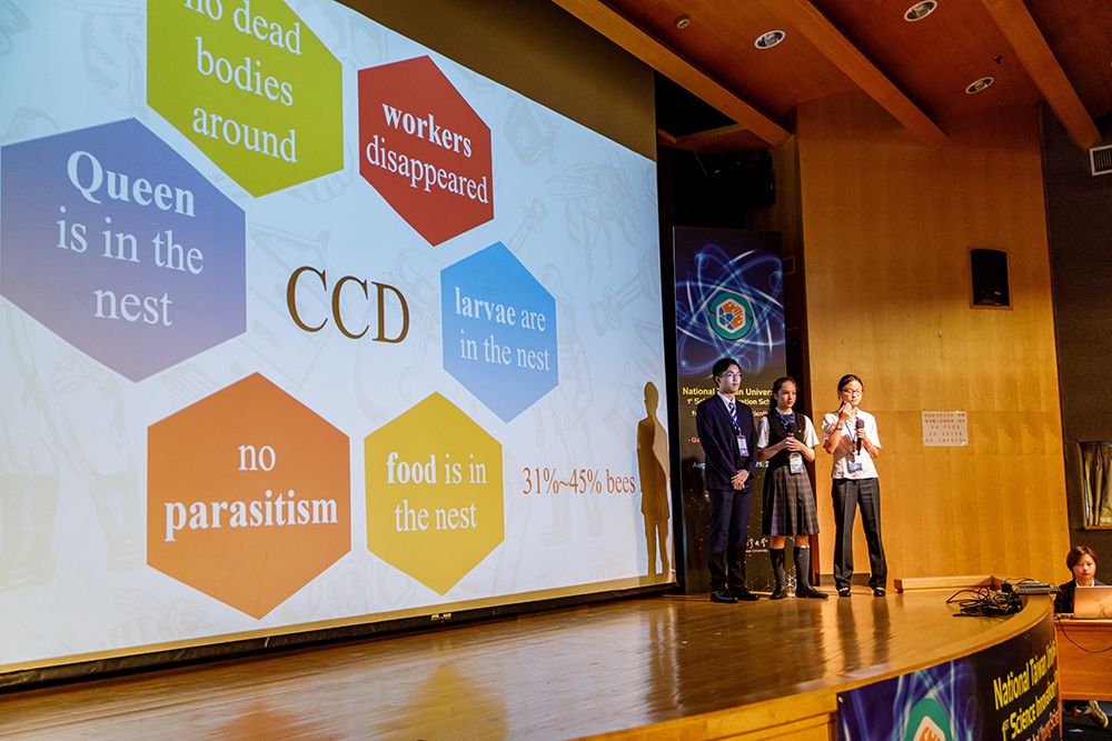 Image2:Students present their topics during the final presentations.