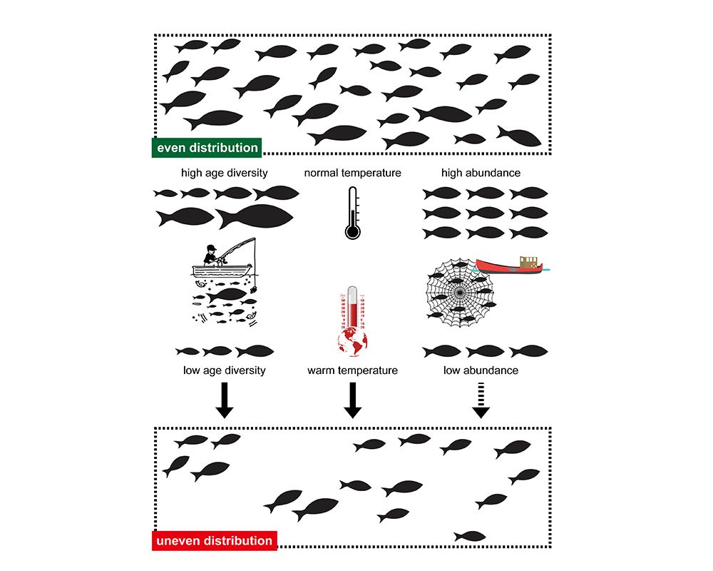 Fishing and Global Warming Affect Fish Spatial Dynamics and Sustainability-封面圖