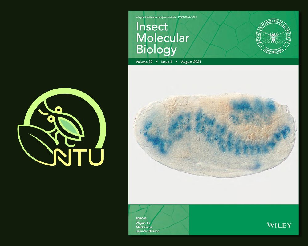 Research of the aphid developmental genes at NTU Entomology featured on the cover for the 6th time-封面圖