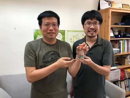 孑遺藍綠菌中的光合系統一結構揭露早期光合作用演化歷程圖