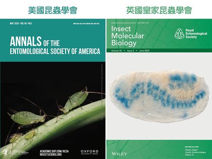 臺大昆蟲學系教授張俊哲團隊的蚜蟲基因研究 同登美英期刊封面圖