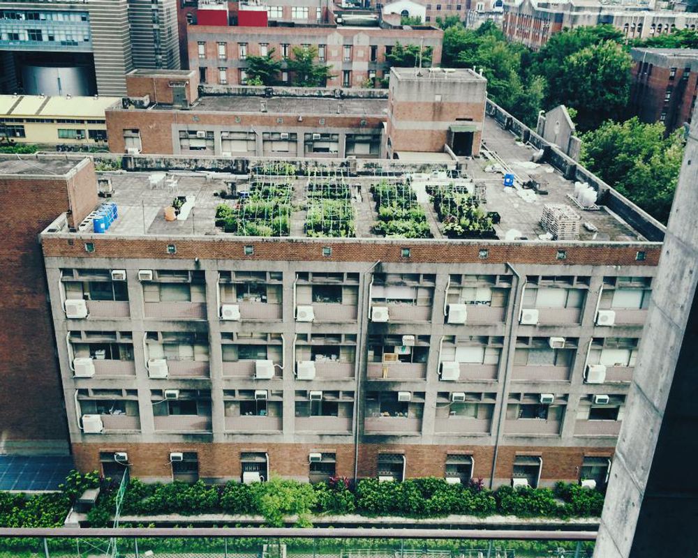 社會系屋頂農業可以讓房屋頂樓的閒置空間轉變為可耕種的綠地空間。