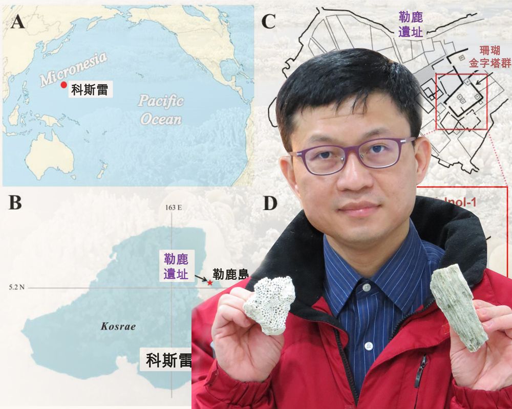 手持採自勒鹿遺址珊瑚金字塔標本 (右手：微孔珊瑚；右手：腦紋珊瑚) 的地質科學系沈川洲教授。