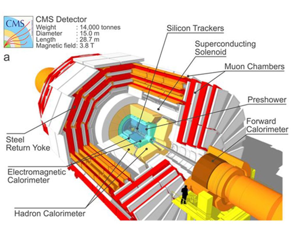  CMS 偵測器與其主要架構圖。臺大與中大合建了圖中的Preshower子偵測器，而臺大團隊目前參與軌跡儀Tracker的畫素偵測器第一階段升級建造。