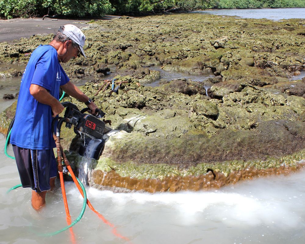 德州大學奧斯汀分校佛烈德泰勒教授進行小環礁珊瑚取樣。