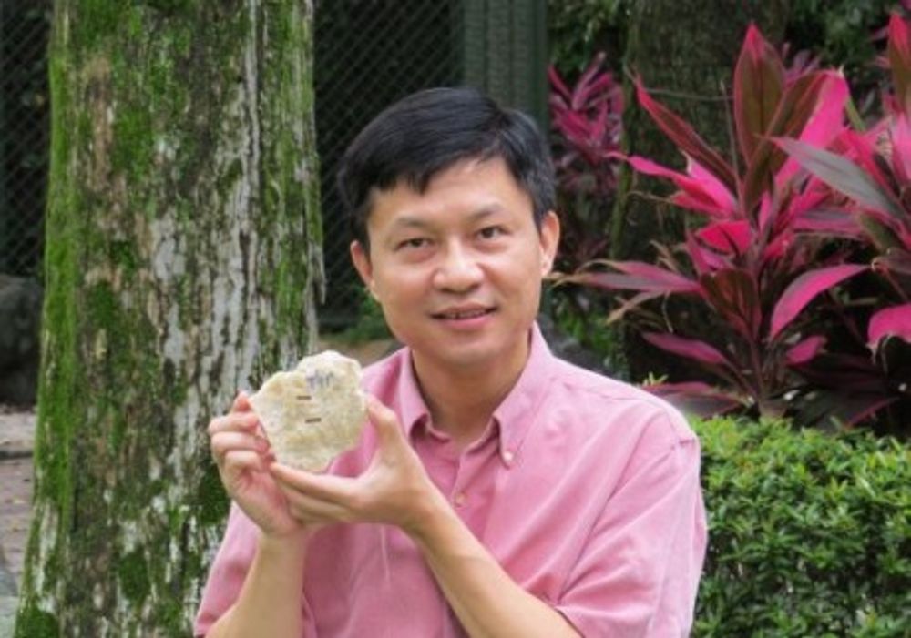 沈川洲教授手持胡瑟裂谷洞穴內遺骸堆積下方之八、九十萬年前形成的碳酸鈣標本。