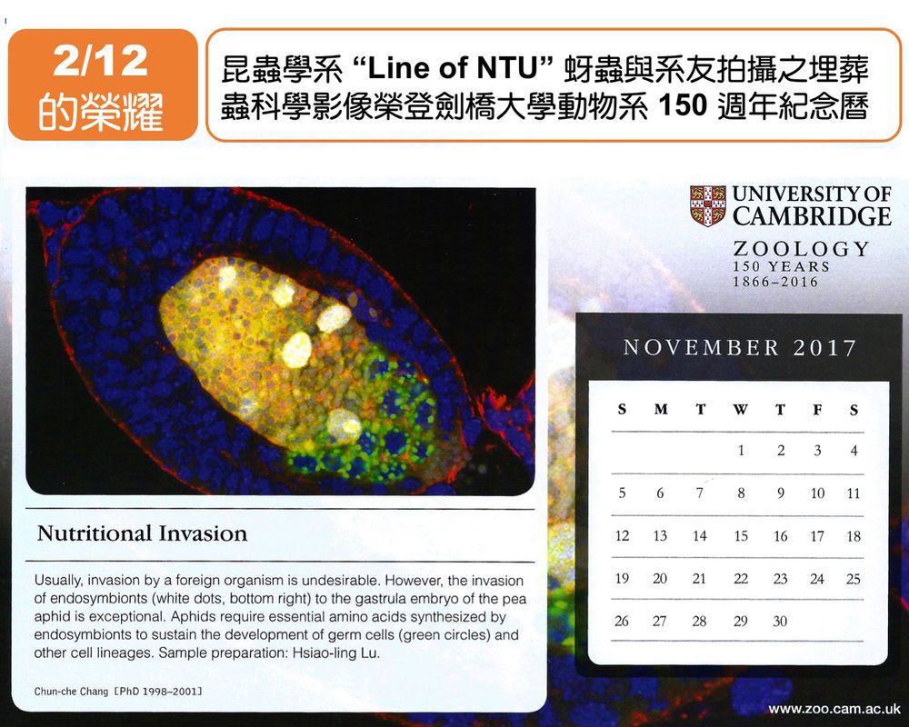 昆蟲系張俊哲教授 呂曉鈴博士獲選2017劍橋大學紀念曆影像-封面圖