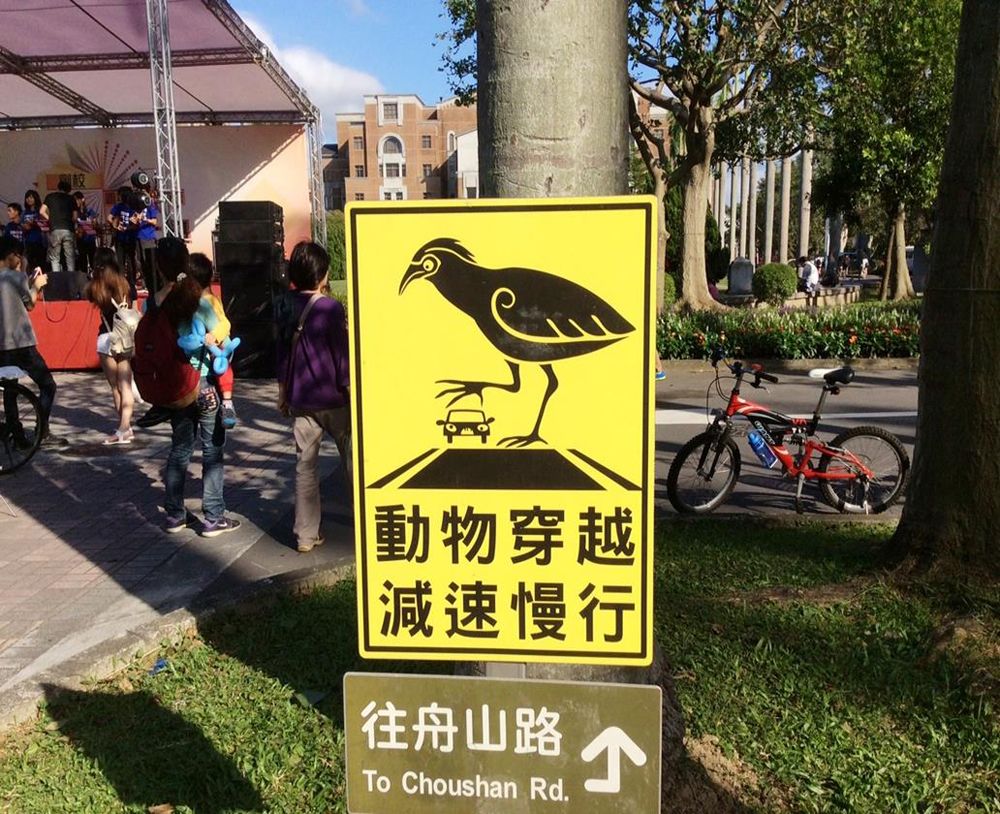 設置大笨鳥告示牌希望讓校園內的野生動物有更安全的棲息環境。