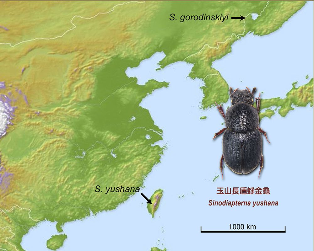 以玉山為名 本校實驗林發現世界新種金龜子-封面圖