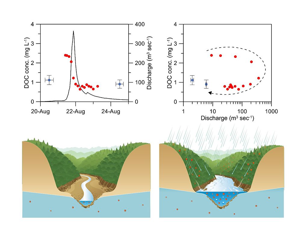 永續地球尖端科學研究中心地理系團隊山地河川溶解性有機碳的研究成果登上Nature-Scientific-封面圖