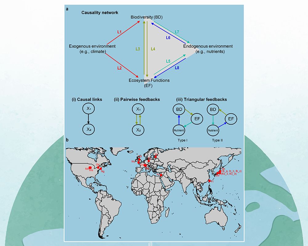 隨大尺度環境條件改變的生物多樣性、生態系功能與環境之間的因果關係網絡-封面圖