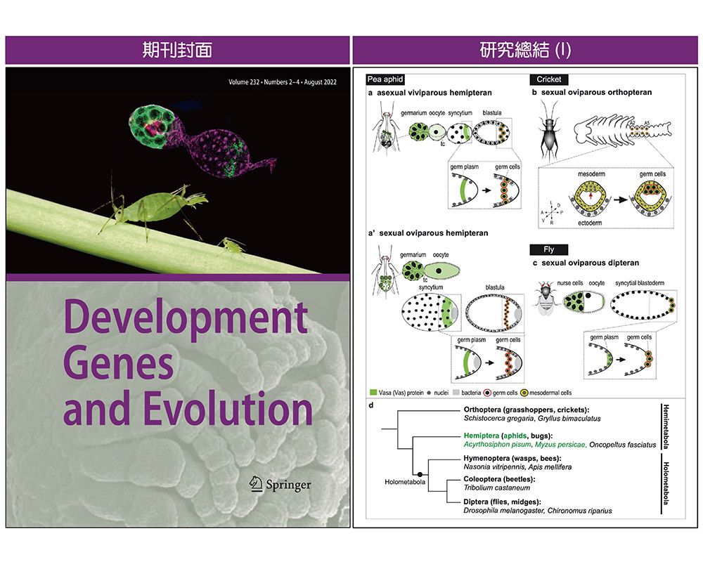 臺大昆蟲學系蚜蟲研究七度榮登國際期刊封面-封面圖