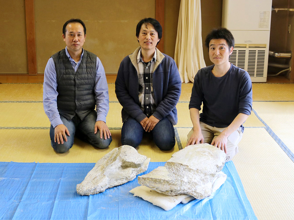 圖1:日本東京裡也能挖出古生物：抹香鯨的化石紀錄Tsai Hino specimen with Kimura and Taru。