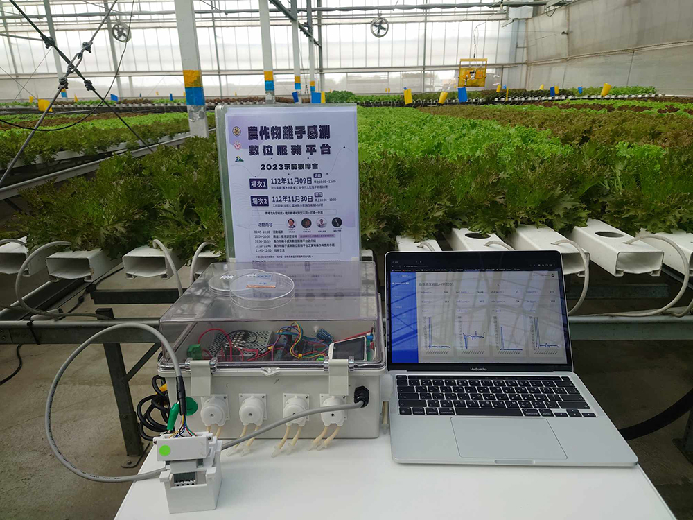圖3:物聯網多元素水耕養液監測系統之原型機應用於水耕萵苣栽培。